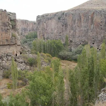 Catlak Hotel 4*